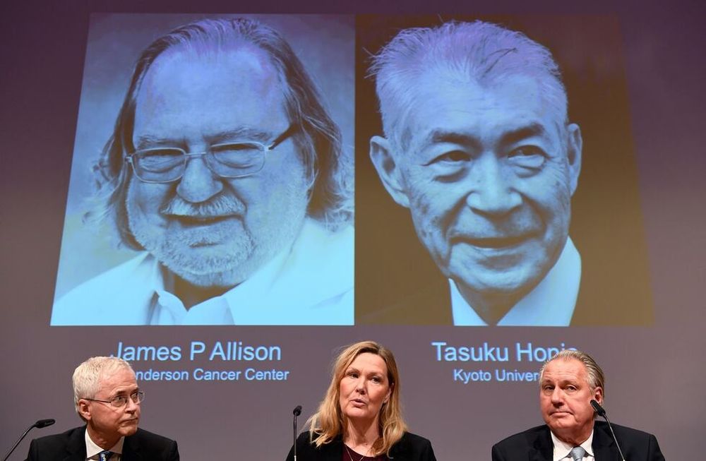 Entregaron el Nobel de Medicina 2018 a los padres de la inmunoterapia contra el cáncer
