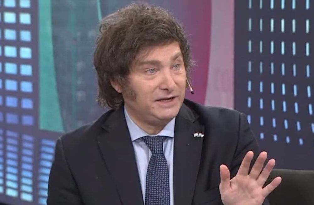 Milei: Yo estoy como Walt Dinsey, no me caliento más. Foto: captura.