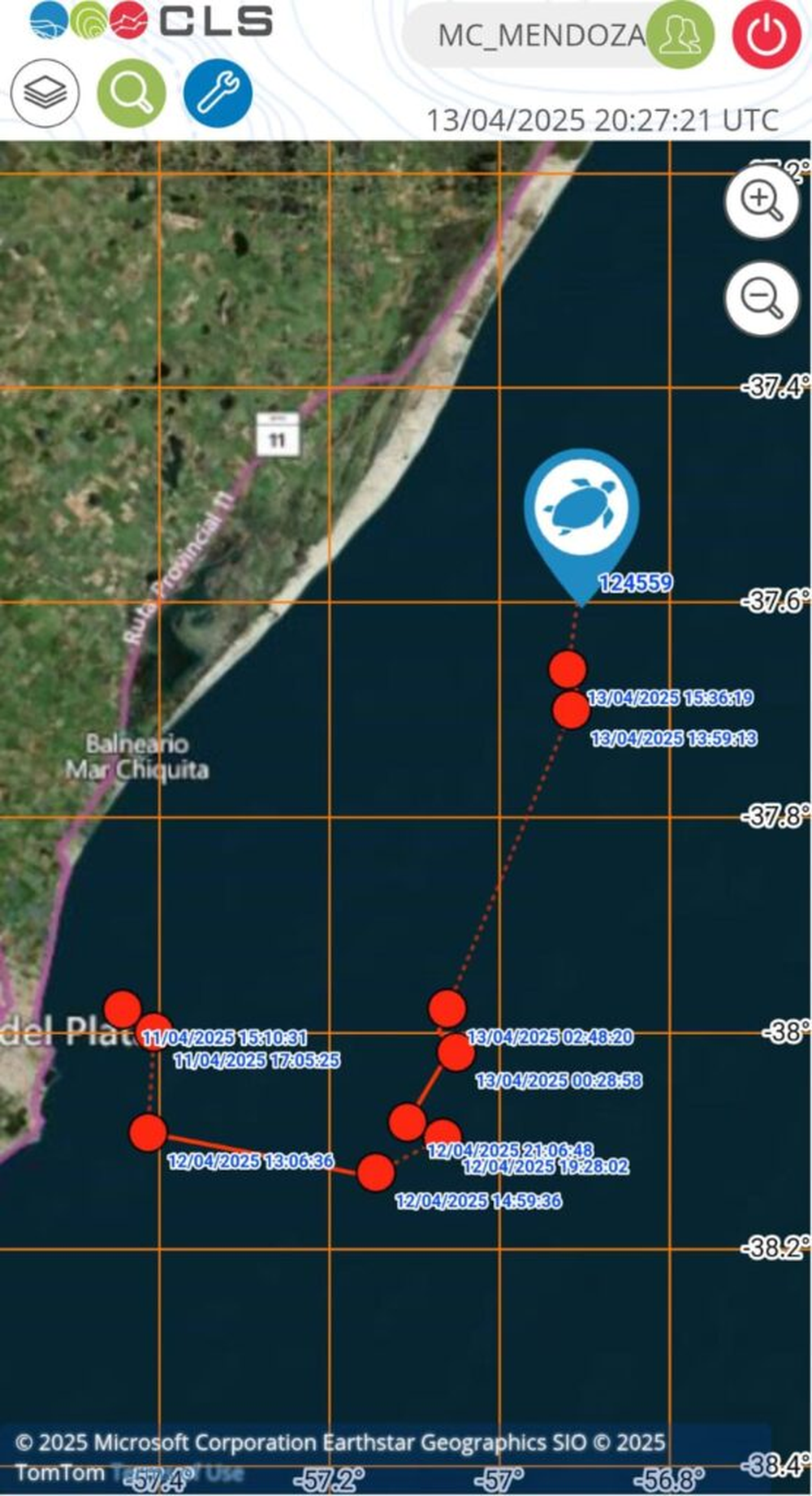 El tortugo Jorge nada libre hacia el norte marítimo.