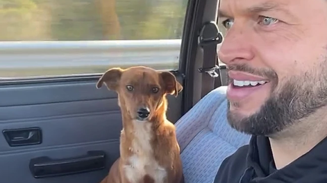 Maikel Alievi rescató a una perrita en medio un torneo.&nbsp;