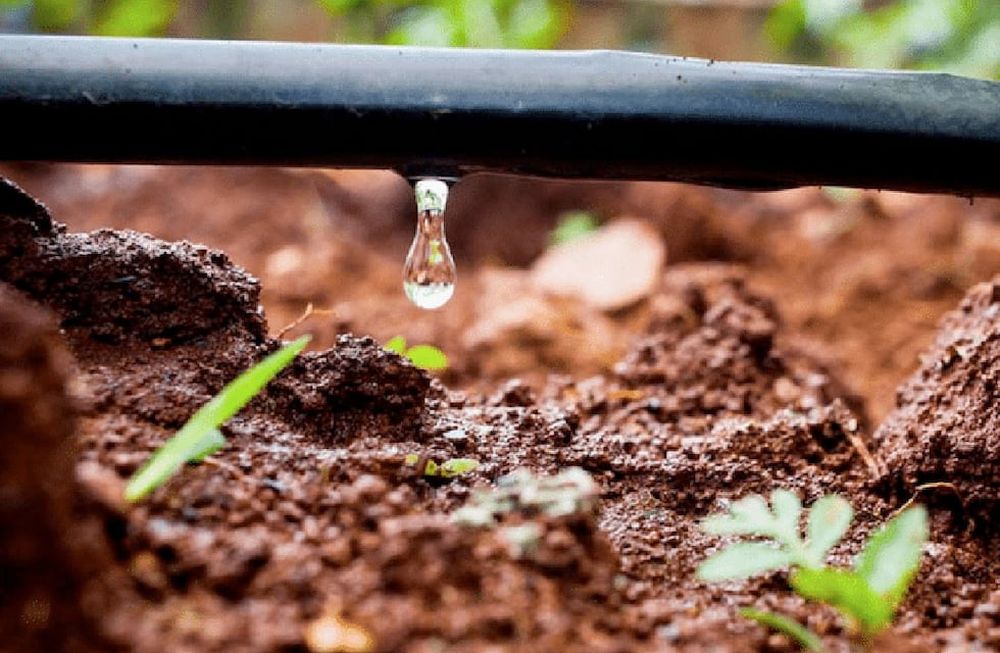 Desde el “INA afirman que, por no estar tecnificado el riego agrícola, se pierden 387 mil millones de litros de agua al año, un número superior al que se utiliza para consumo humano en toda la provincia”.