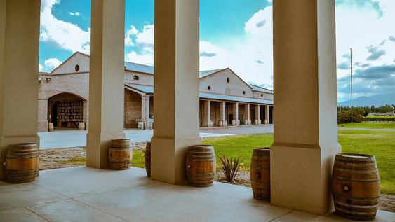 Un paseo para degustar los vinos de Otero Ramos Winery