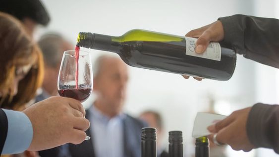 El vino argentino celebra su día a diez años de haber sido declarado la Bebida Nacional. - Ignacio Blanco / Los Andes