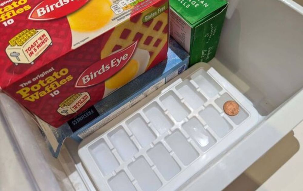 En vacaciones, una simple moneda en el freezer es clave para prevenir accidentes en el hogar.