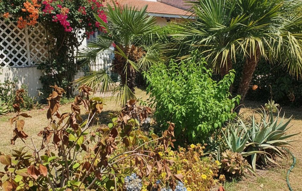 Con un simple ingrediente, es posible atravesar los días más calurosos sin que las plantas del jardín sufran las consecuencias.
