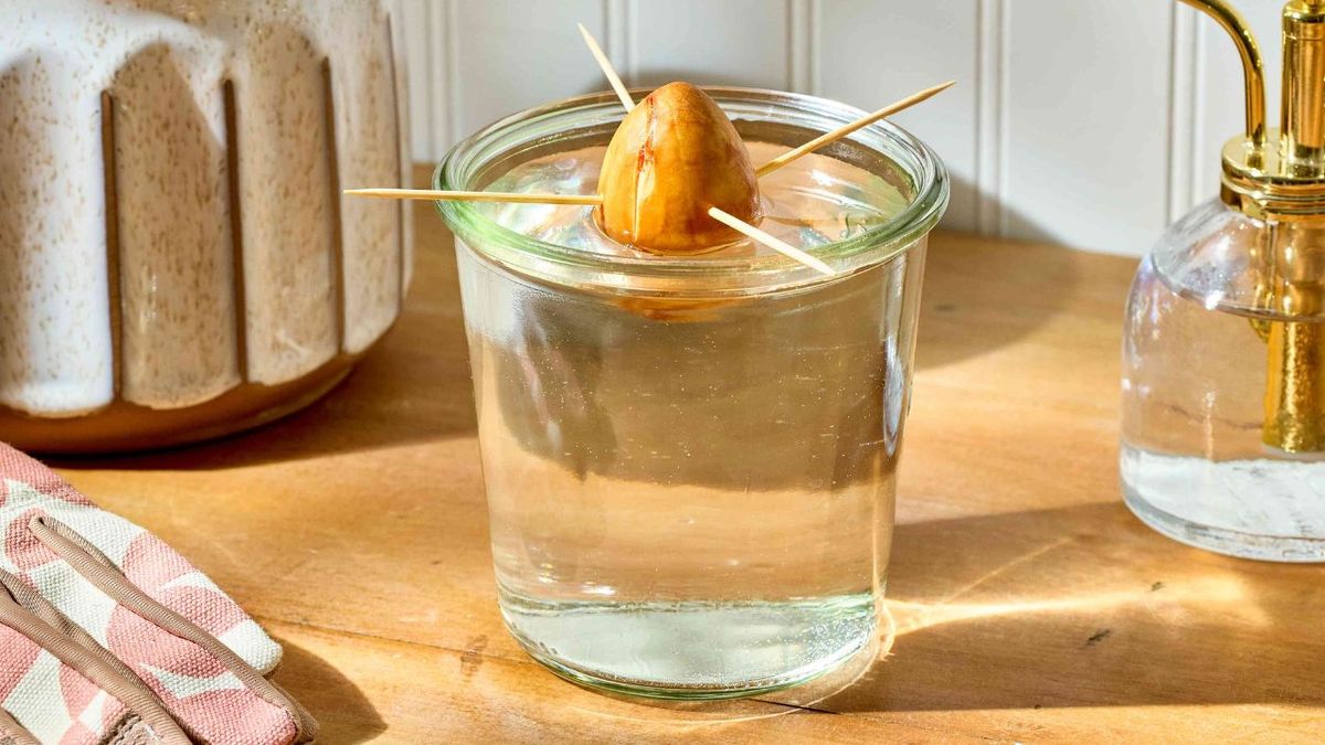 8 semillas comestibles que pueden crecer solo con agua y un poco de paciencia