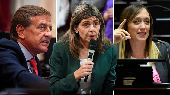 Rodolfo Suarez, Mariana Juri y Anabel Fernández Sagasti, los tres representantes de Mendoza en el Senado de la Nación.