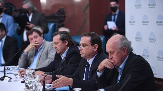 Se realizó un nuevo plenario de las comisiones de Asuntos Constitucionales y Justicia del Senado (Foto: Comunicación Senado)