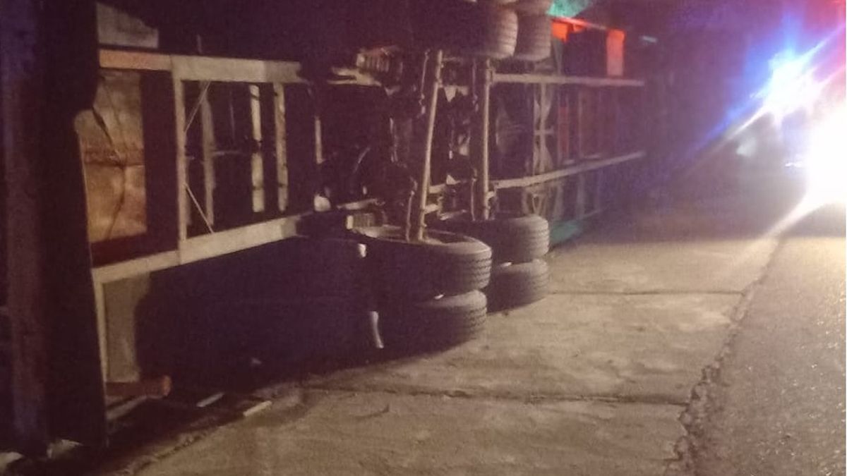 Volcó un camión jaula en la Cuesta de los Terneros: el chofer quedó atrapado y murieron varios caballos