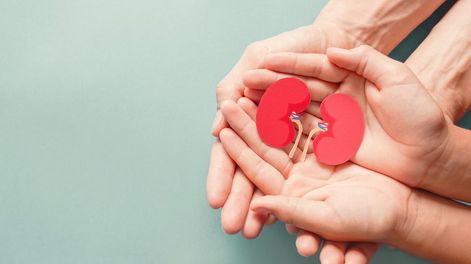 Los Andes | En cuanto a la mayor demanda de donación de órganos, luego del riñón, lo que más se requiere son córneas. En tercer lugar en la cantidad de pacientes en la lista de espera le sigue el hígado y después corazón. (Imagen ilustrativa)