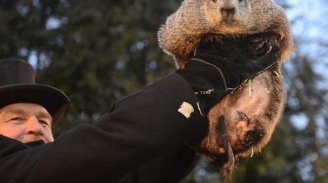 Podríamos tildarlo al 2020 como el año de la marmota aunque, a lo mejor, sería preferible borrarlo de los calendarios. / Gentileza