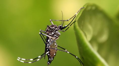 Los Andes | JA57KXBSPVDWFB23DMTS6H4VV4.jpeg?quality=75&smart=true&auth=e1fd90e1a3be67116d4b1a0f795db6baebff09e9dae9ddf6954740aa614d783c&width=980&height=640