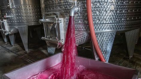 Los varietales están traccionando las ventas de vino a granel.