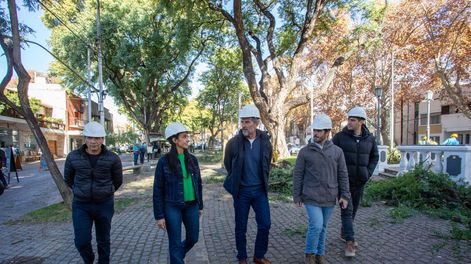 En Ciudad, la Poda 2025 ya superó los 1.250 ejemplares intervenidos durante el primer mes de la temporada