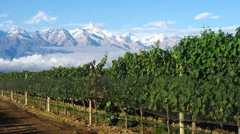 Los Andes | 636ZUR524VHGDBQOA4B6P7SA2A.jpeg?quality=75&smart=true&auth=e87ccc1052d3513ada0eb922302c2a0c8b52ef19bb8e86dd94639a3bf3adf13a&width=980&height=640