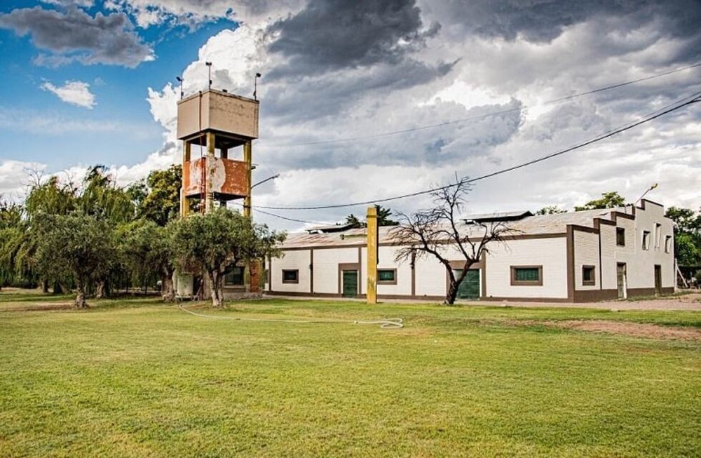 Bodega del Este mendocino ingresa al mundo de los vinos orgánicos y veganos