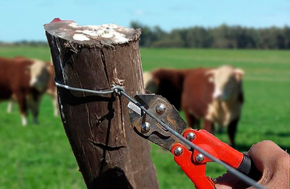 Referentes y productores sostienen que son constantes los asaltos y hurtos de insumos. Buscan vincularse entre los vecinos para responder en conjunto e intentar resolver un problema histórico.