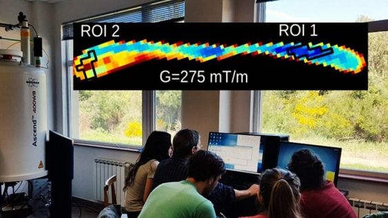 Una postal del trabajo del equipo del investigación del nodo Bariloche del Instituto de Nanociencia y Nanotecnología - Foto: Analía Zwick