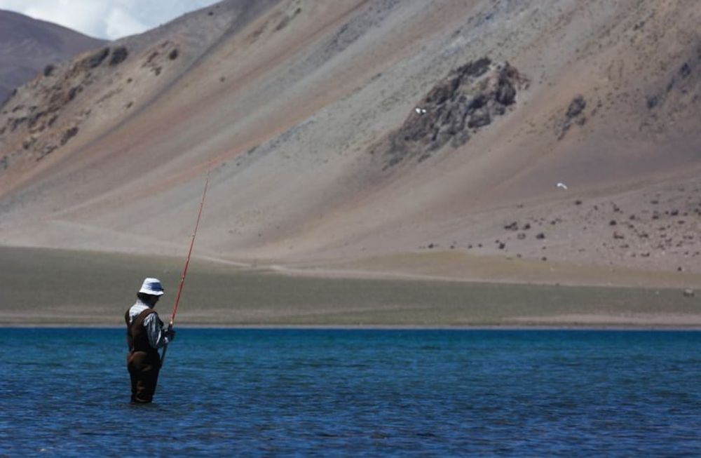 El agente público solicitaba de forma sistemática un 20% del valor de los cheques que este guardaparque hacía llegar al comercio en concepto de alimentos para efectivos en Reservas Naturales.