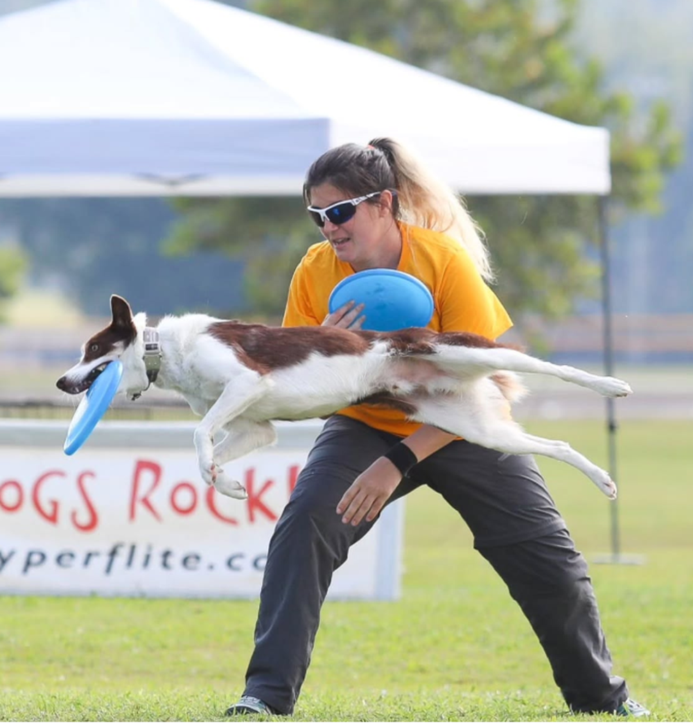 Cómo es y dónde se practica el discdog, la disciplina de perros que tiene campeonas del mundo argentinas