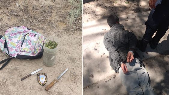 Detuvieron a un joven de 20 años en San Martín tras robarle a la bicicleta a una señora para huir con dos cuchillos y un frasco con marihuana. - Foto: Ministerio de Seguridad