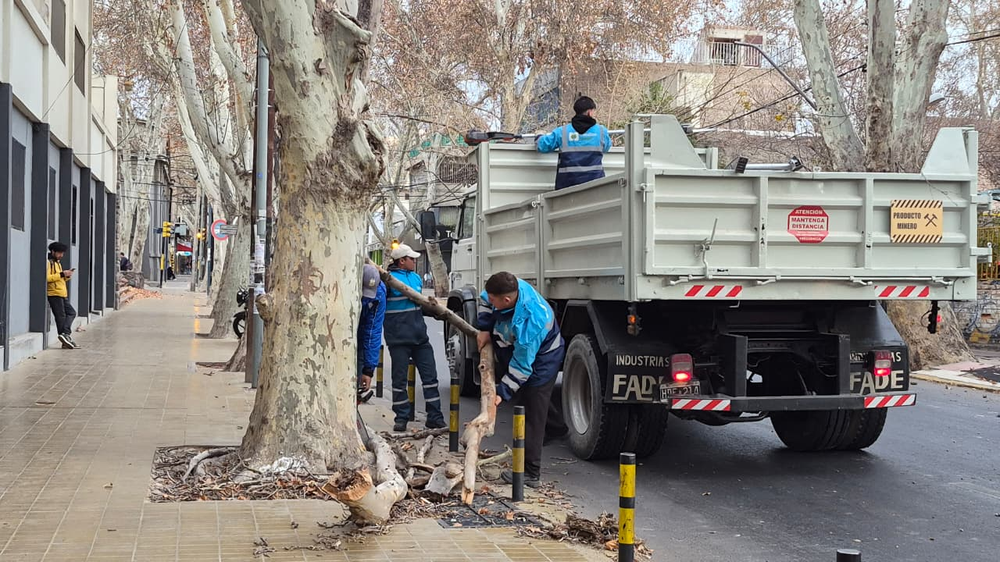 Tras el Zonda, levantan ramas que habían caído frente al colegio Don Bosco&nbsp;