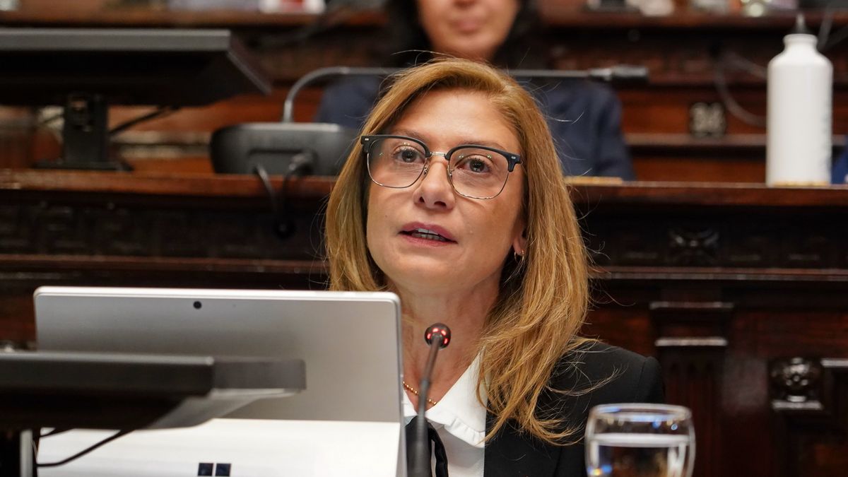 Aprobaron un proyecto para que los chicos de 17 años puedan acceder a la licencia de conducir