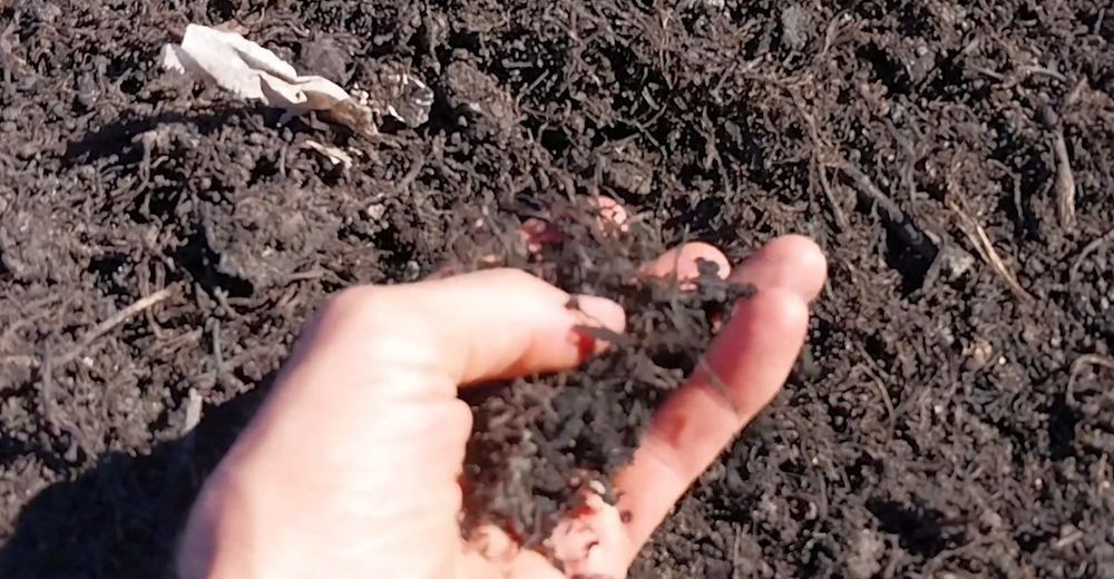El compost es un componente muy rico en nitrógeno y materia orgánica.