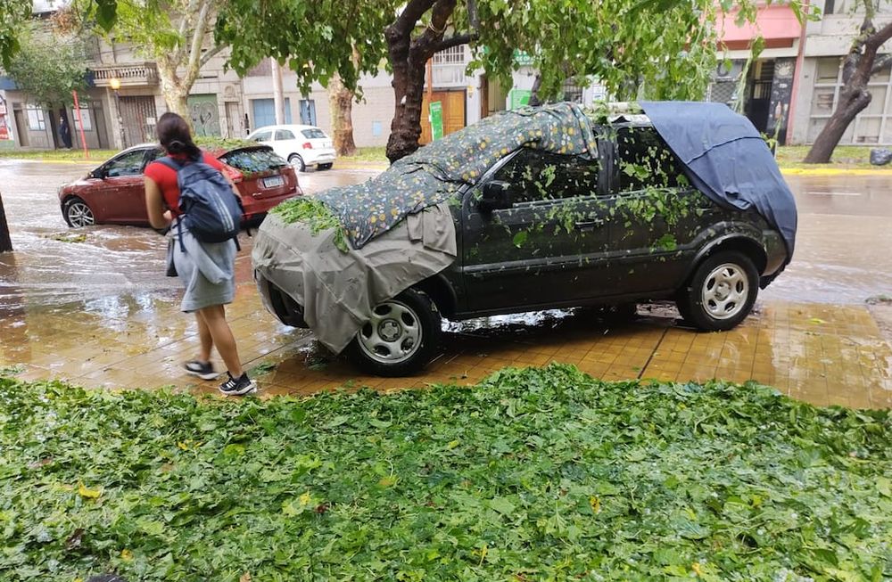 Autos protegidos para evitar los daños.