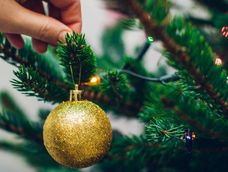 En Facebook ofrecen alimentos no perecederos a cambios de árboles de Navidad.