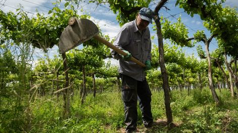 Los contratistas esperaban un aumento del 120%, pero desde el gremio han negociado 50% por seis meses. - Foto: Ignacio Blanco / Los Andes
