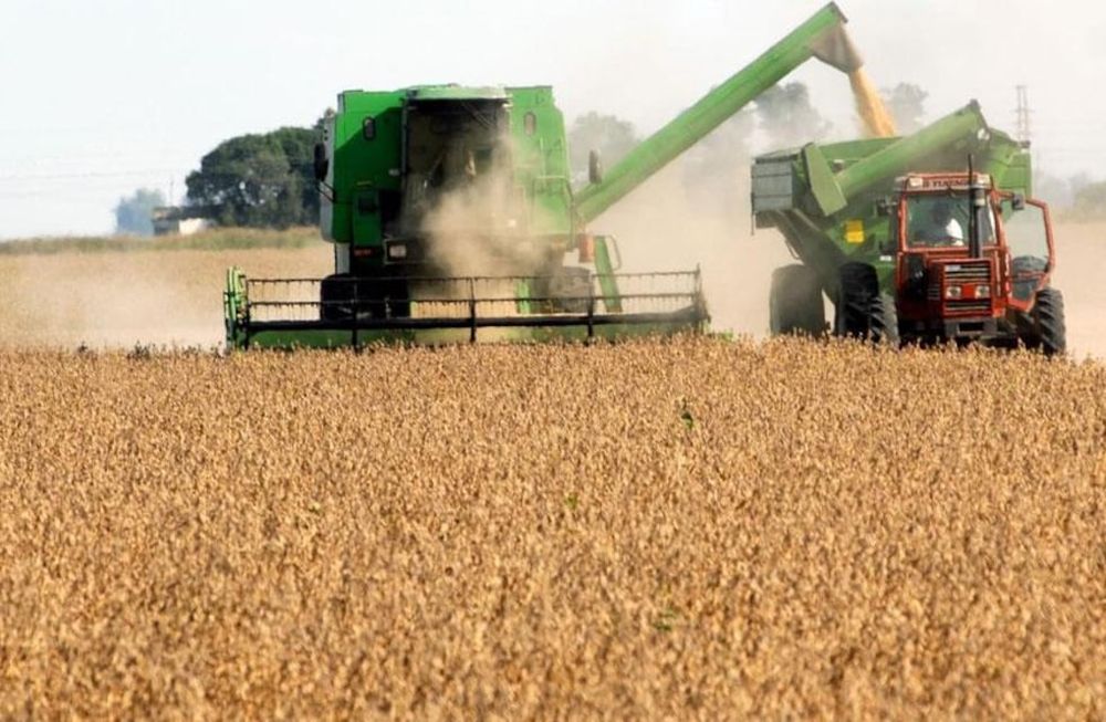 El agro prevé una liquidación exitosa este 2026.