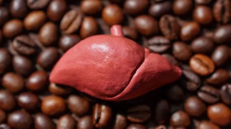 Los Andes | café e hígado graso