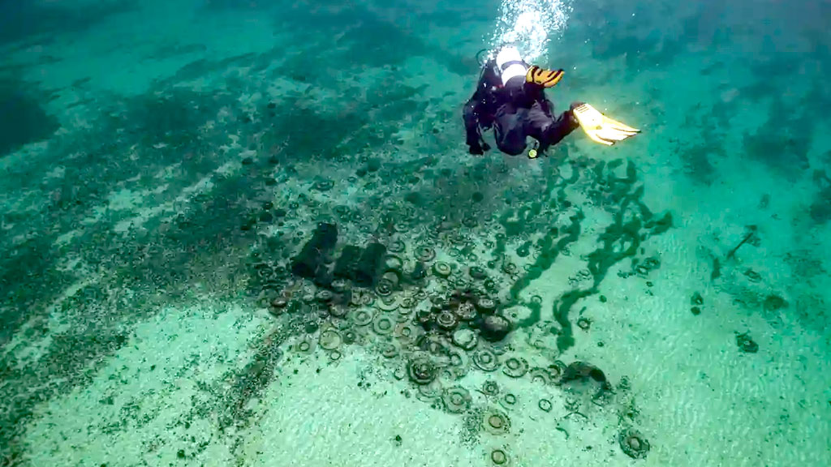 Descubren un cargamento romano con aceite de oliva en el fondo de un lago suizo