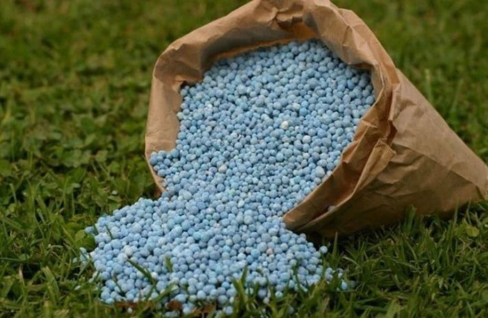 La siembra (como cada actividad en la Argentina) será cada vez más competitiva, prometió el vocero presidencial Manuel Adorni. Foto: Gentileza