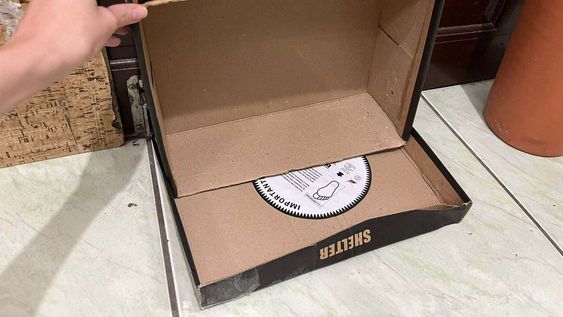 ni organizador ni maceta: dos formas de aprovechar la caja de zapatos vieja, un tesoro que tenes en casa