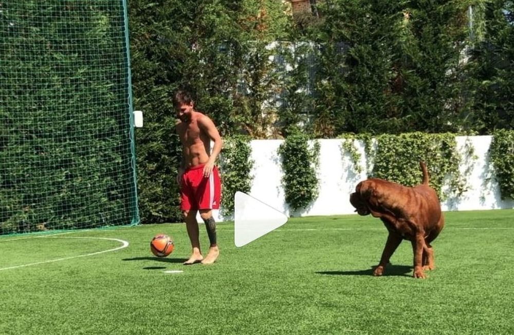 Mirá cómo Messi vuelve loco a su perro Hulk