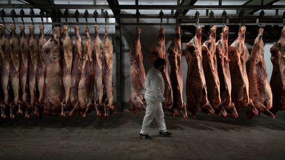 Argentina obtuvo la autorización para empezar a exportar carne bovina y ovina con hueso a Israel, el tercer comprador de los productos argentinos de origen animal. Foto: Ignacio Blanco / Los Andes