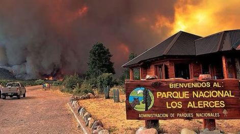 El incendio forestal en el Parque Nacional Los Alerces está “fuera de control” y ya alcanzó una superficie de 577 hectáreas. Foto: Redes.