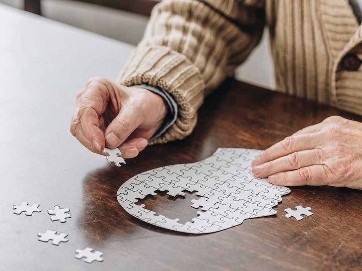 Científicos sostienen que la mielina podría ser clave para prevenir el Alzheimer