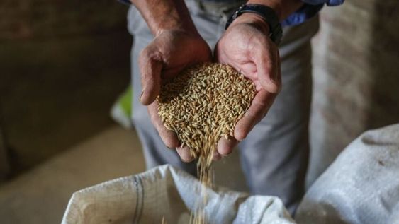 Argentina alcanzó una marca récord en exportaciones, ascendiendo a 88 mil millones de dólares.