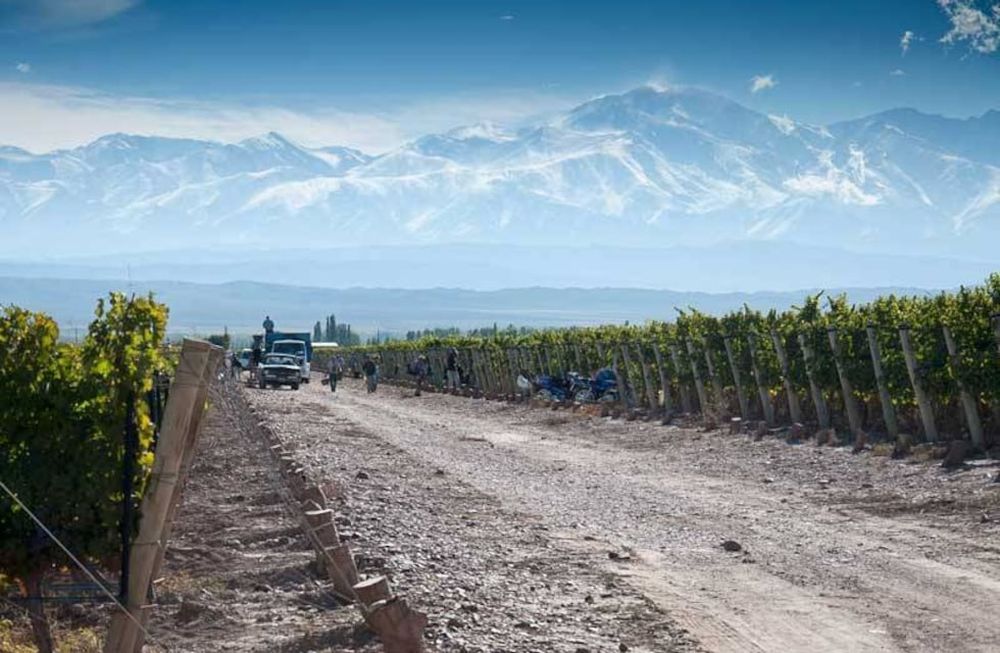 Las bodegas, el turismo y el paisaje de la vid y el vino en Mendoza