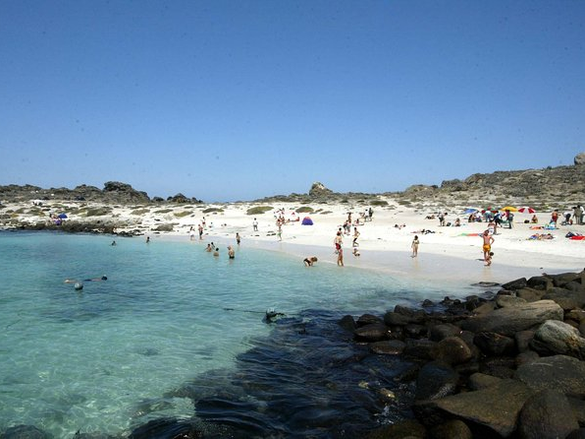 Por qué Punta de Choros es la “Galápagos chilena”: ballenas y pingüinos todo el año