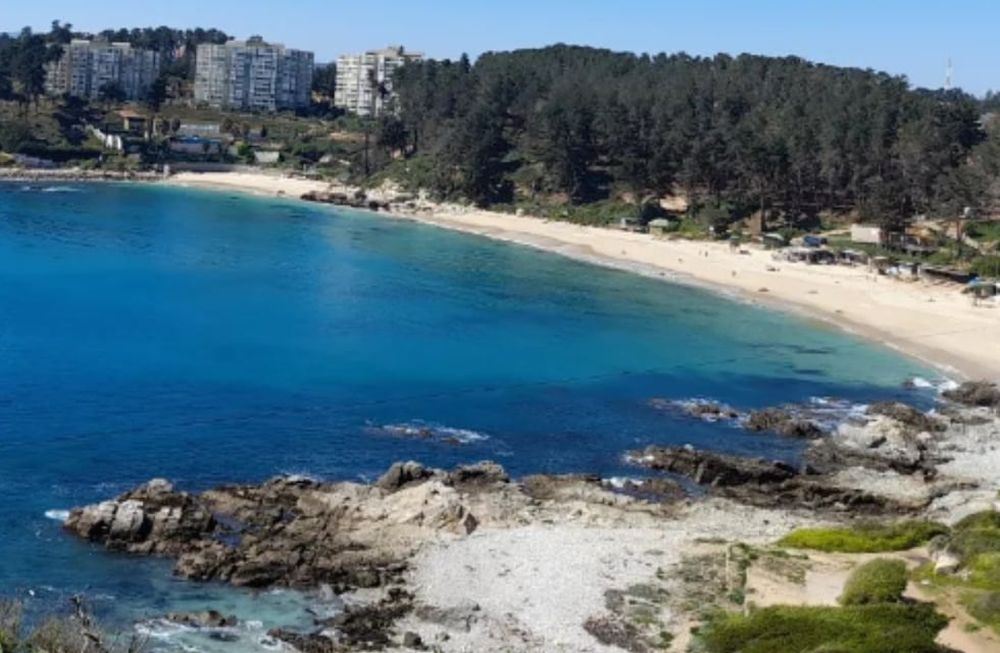 Bosques y aguas cristalinas: así es la atrapante bahía chilena Canelo y Canelillo, ubicada a 90 minutos de Reñaca. Foto: Instagram @ecoturismo.algarrobo