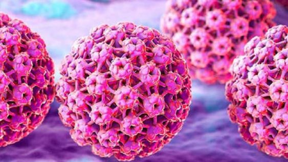 Este 4 de marzo se conmemora el Día Mundial del VPH