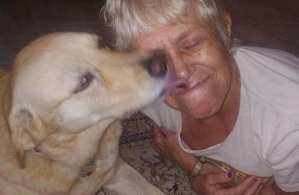 Una anciana se tiró sobre un caimán para rescatar a su perro que estaba siendo atacado.