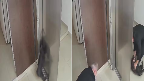 Las cámaras de seguridad del edificio registraron el momento en que la dueña del perro entra al ascensor.
