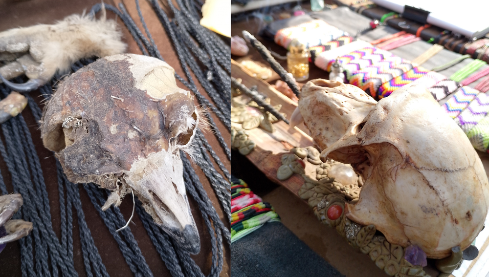 Imágenes tenebrosas: secuestran artesanías hechas con restos de osos hormigueros y otros animales protegidos. Foto: Secretaría de Ambiente y Energía