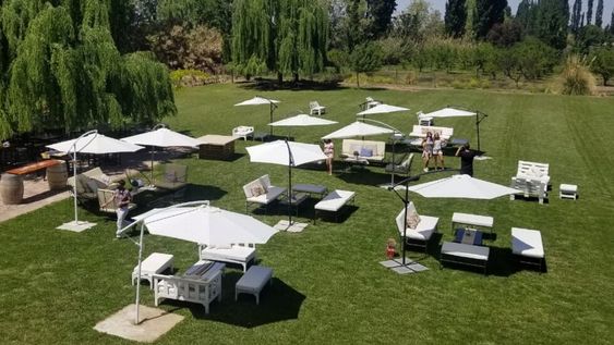 El sábado 12, Wine Lunch y Wine Sunset, para disfrutar por partida doble