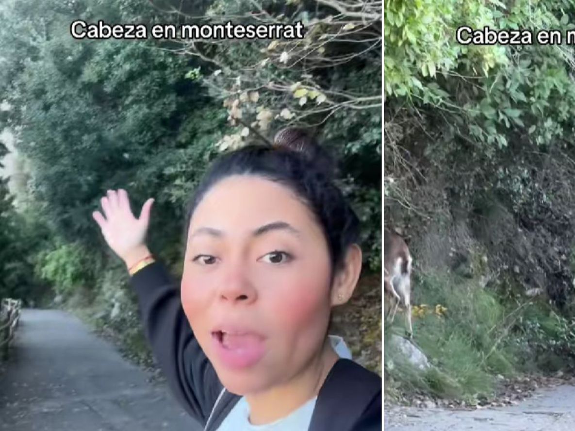 La influencer venezolana sorprendida por cabras.